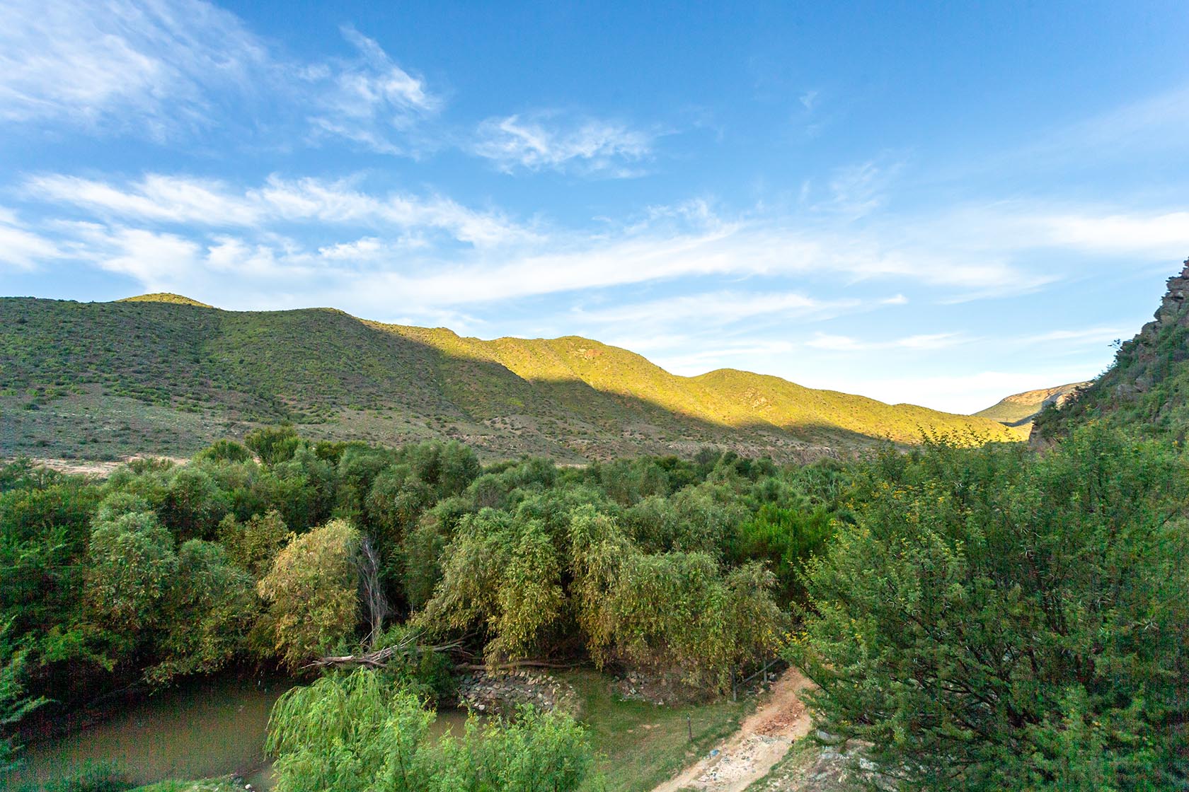 Guest on the riverbank at Calitzdorp, willows, stillness.