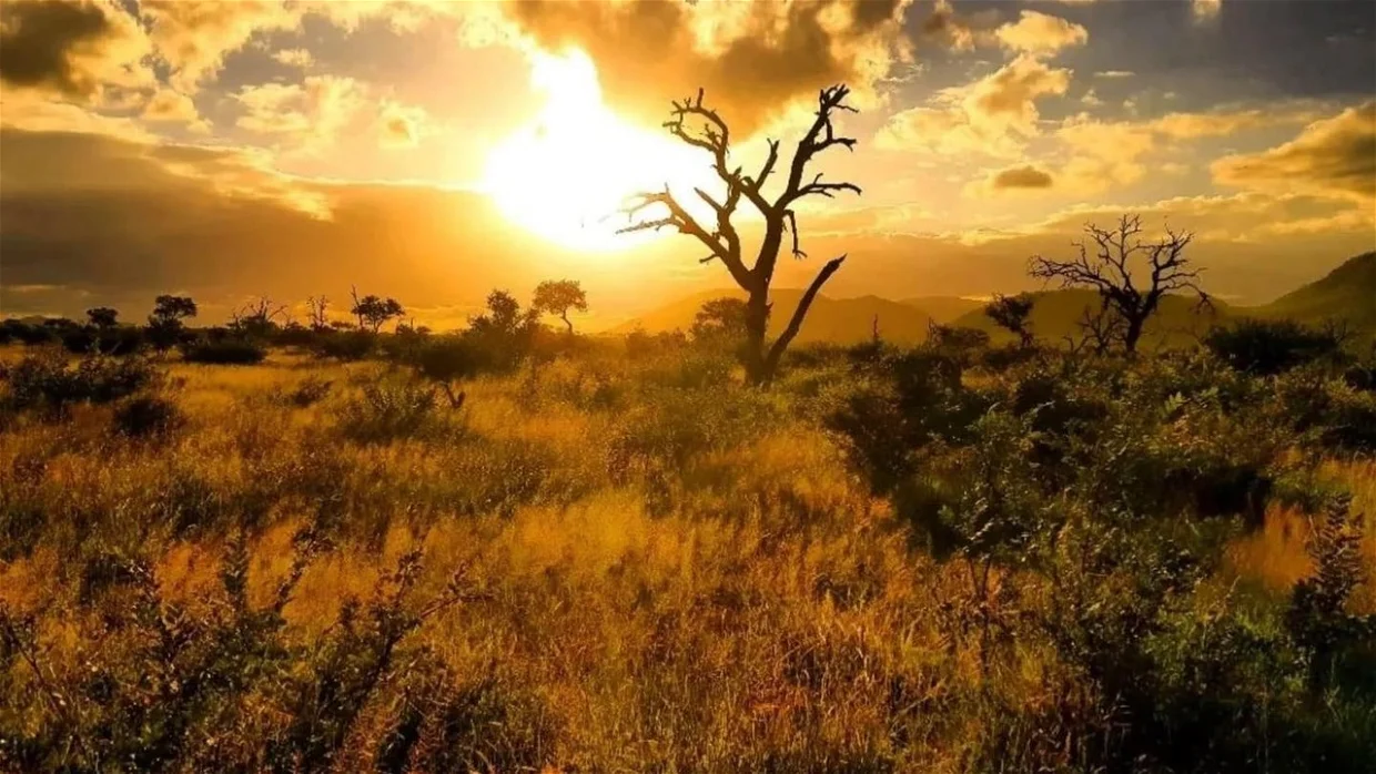 Kruger · ZA