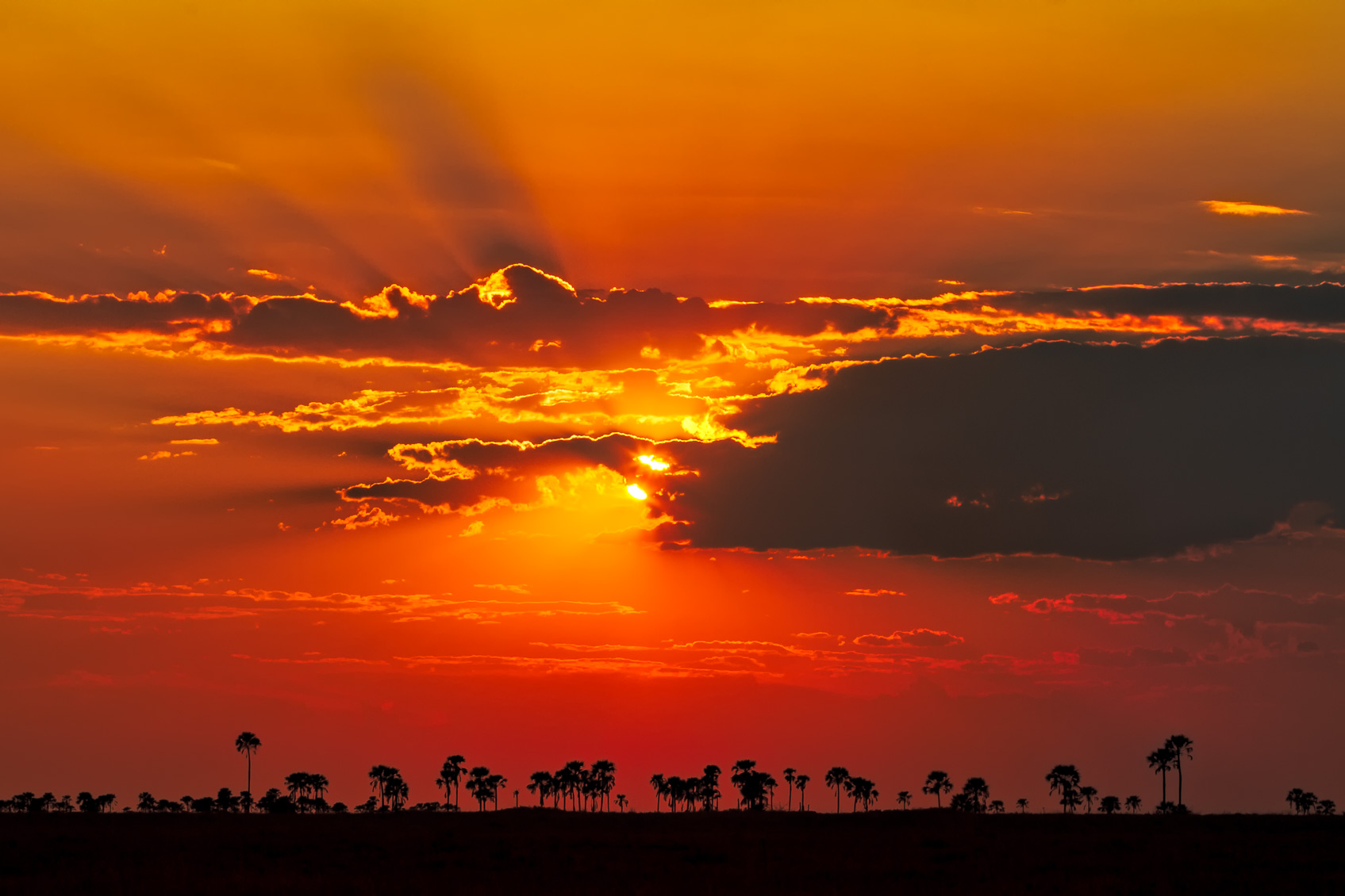 Makgadikgadi sunset